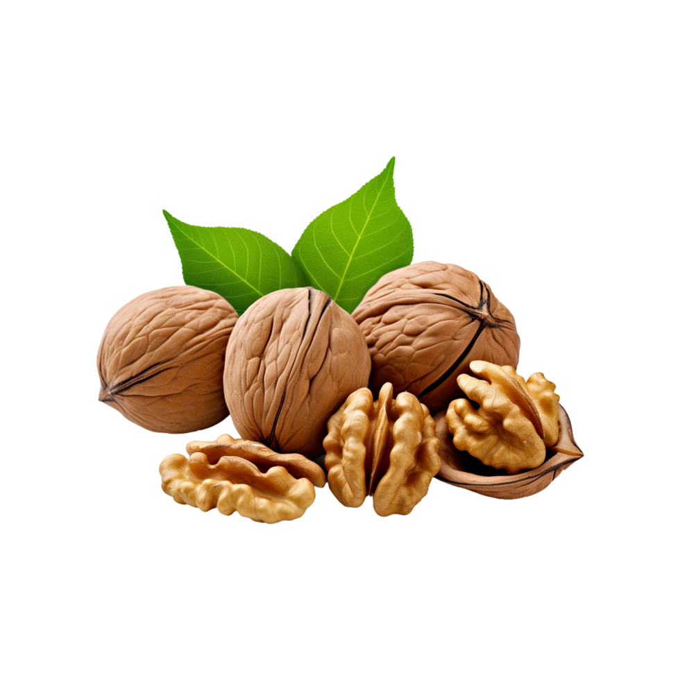 Noci